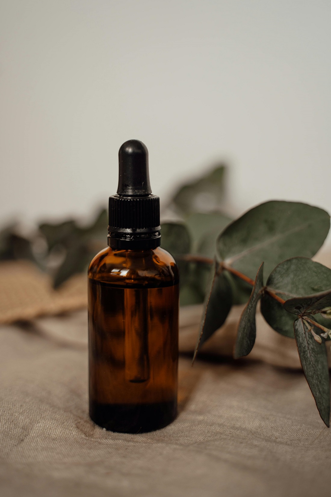 Eucalyptus Oil