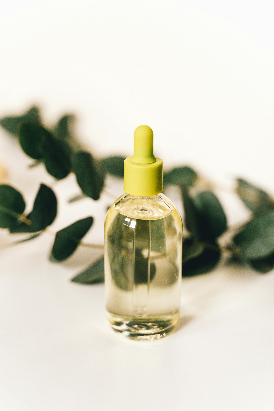 Eucalyptus Oil